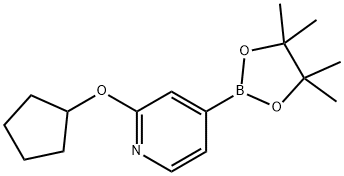 2-(cyclopentyloxy)-4-(4,4,5,5-tetramethyl-1,3,2-dioxaborolan-2-yl)pyridine 结构式