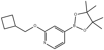 2-(CYCLOBUTYLMETHOXY)-4-(4,4,5,5-TETRAMETHYL-1,3,2-DIOXABOROLAN-2-YL)PYRIDINE,1346708-00-6,结构式
