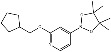 1346708-01-7 2-(环戊基甲氧基)-4-(4,4,5,5-四甲基-1,3,2-二氧硼烷-2-基)吡啶