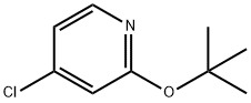 2-(叔丁氧基)-4-氯吡啶 结构式