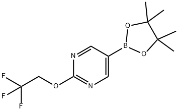 5-(4,4,5,5-四甲基-1,3,2-二氧硼杂环戊烷-2-基)-2-(2,2,2-三氟乙氧基)嘧啶,1351234-12-2,结构式