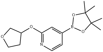 2-(tetrahydrofuran-3-yloxy)-4-(4,4,5,5-tetraMethyl-1,3,2-dioxaborolan-2-yl)pyridine Struktur