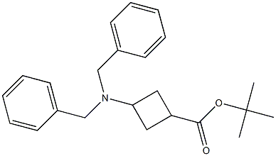 3-(二苄氨基)环丁烷甲酸叔丁酯,1356087-27-8,结构式
