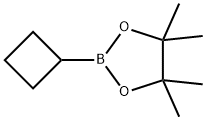 2-シクロブチル-4,4,5,5-テトラメチル-1,3,2-ジオキサボロラン 化学構造式