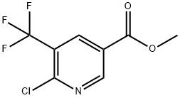 메틸6-클로로-5-(트리플루오로메틸)니코티네이트