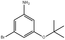 BenzenaMine,3-broMo-5-(1,1-디메틸에톡시)-
