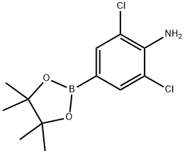 2,6-dichloro-4-(4,4,5,5-tetraMethyl-1,3,2-dioxaborolan-2-yl)aniline|2,6-二氯-4-(4,4,5,5-四甲基-1,3,2-二氧杂硼烷-2-基)苯胺