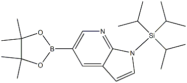5-(4,4,5,5-TetraMethyl-1,3,2-dioxaborolan-2-yl)-1-(triisopropylsilyl)-1H-pyrrolo[2,3-b]pyridine 化学構造式