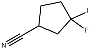3,3-difluorocyclopentanecarbonitrile Struktur
