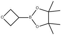 1396215-84-1 4,4,5,5-四甲基-2-(氧杂环丁烷-3-基)-1,3,2-二氧杂硼杂环戊烷