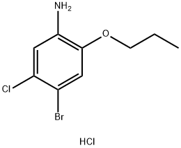 4-BroMo-5-chloro-2-propoxyaniline HCl Struktur