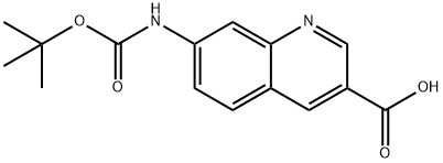 7-(tert-butoxycarbonylaMino)quinoline-3-carboxylic acid Structure