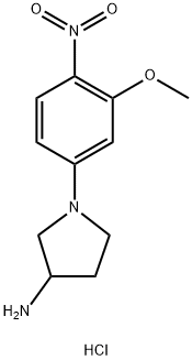 1-(3-甲氧基-4-硝基-苯基)-吡咯烷-3-基胺盐酸盐, 1417793-05-5, 结构式
