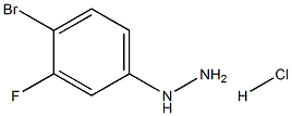 (3-氟-4-溴苯基)肼盐酸盐, 1420685-39-7, 结构式