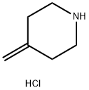 4-Methylenepiperidine HCl Struktur