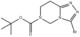 Tert-butyl 3-broMo-7,8-dihydro-[1,2,4]triazolo[4,3-c]pyriMidine-6(5H)-carboxylate 结构式