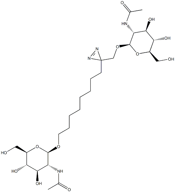 146294-05-5