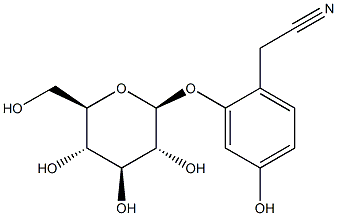 Ehretioside B Struktur