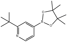 2-叔丁基-4-吡啶硼酸频那醇酯, 1627722-65-9, 结构式