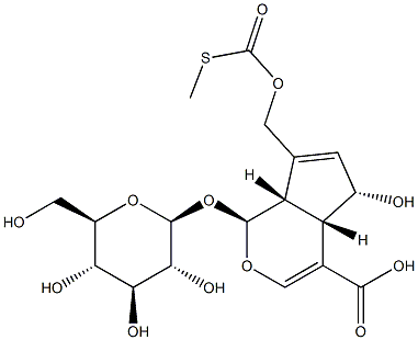 Paederosidic acid