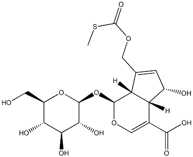 rel-7-[(アセチルチオ)メチル]-1α*-(β-D-グルコピラノシルオキシ)-1,4aα*,5,7aα*-テトラヒドロ-5β*-ヒドロキシシクロペンタ[c]ピラン-4-カルボン酸 化学構造式