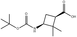 cis-3-(Boc-aMino)-2,2-diMethylcyclobutanecarboxylic acid Struktur