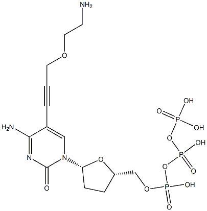 204062-03-3 5-[3-(2-氨基乙氧基)-1-丙炔基]-2',3'-二脱氧-胞苷-5'-三磷酸