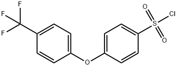 4-(CHLOROSULFONYL)-4''-(TRIFLUOROMETHYL)DIPHENYL ETHER, 97% MIN.,214353-91-0,结构式