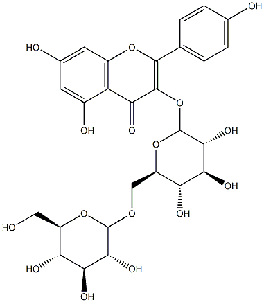 캠페롤3-(6-O-글루코피라노실글루코사이드)
