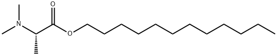 Dodecyl 2-(N,N-dimethylamino)propionate Struktur