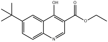 6-tert-Butyl-4-hydroxy-quinoline-3-carboxylic acid ethyl ester Structure