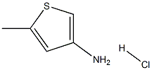 5-Methylthiophen-3-aMine hydrochloride