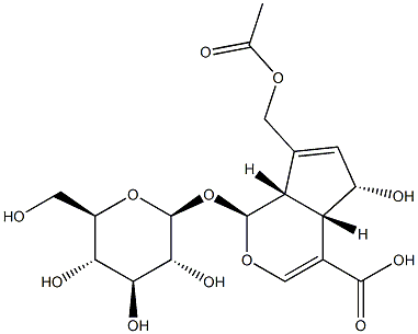 车叶草苷酸