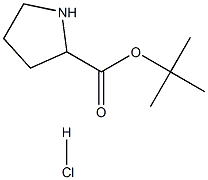 Pyrrolidine-2-carboxylic acid tert-butyl ester HCl Struktur