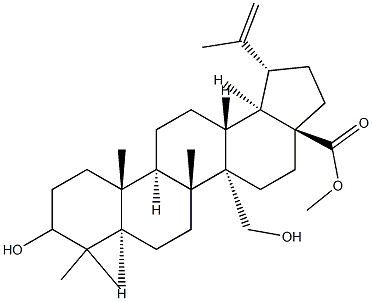 3,27-Dihydroxy-20(29)-lupen-28-oic acid Methyl ester|3,27-二羟基-20(29)-流明-28-酸甲酯