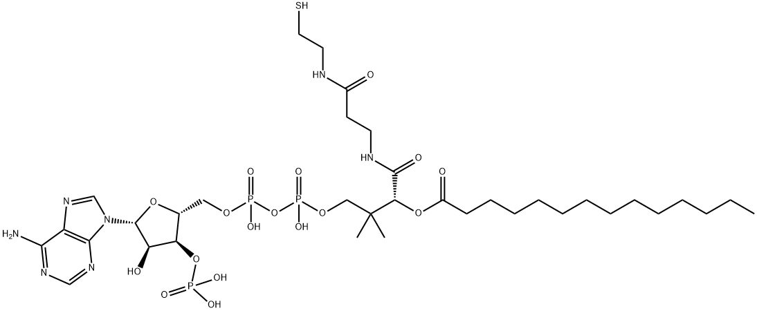 MYRISTOYL COENZYME A MONOHYDRATE* price.