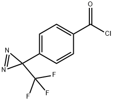 4-[3-(Trifluoromethyl)-3H-diazirin-3-yl]benzoyl chloride|4-[3-(三氟甲基)-3H-双吖丙啶-3-基]苯甲酰氯