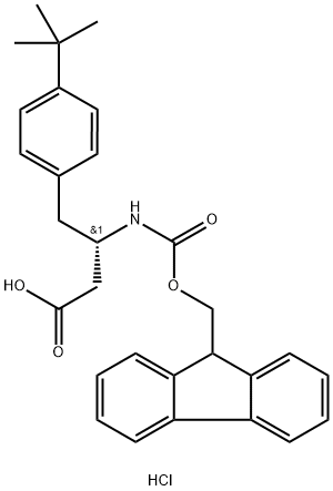 FMoc-(S)-3-AMino-4-(4-tert-부틸페닐)-부티르산