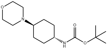 (反式-4-吗啉代环己基)氨基甲酸叔丁酯 结构式