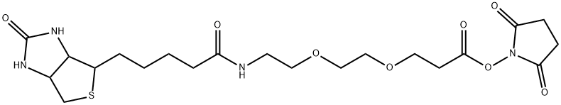 9-biotinlaMino-4,7-dioxanonanoic acid N-hydroxysucciniMidyl ester