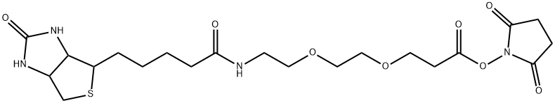 9-(ビオチンアミド)-4,7-ジオキサノナン酸 N-スクシンイミジル 化学構造式