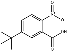 5-tert-부틸-2-니트로벤조산