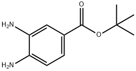 tert-butyl 3,4-diaMinobenzoate