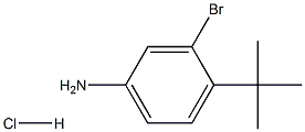 3-BroMo-4-(tert-butyl)aniline hydrochloride 化学構造式