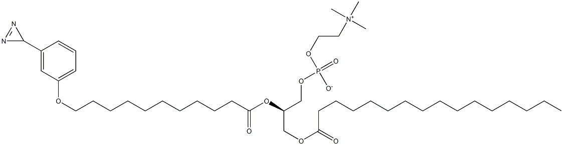 1-palmitoyl-2-(11-(3-diazirinophenoxy)undecanoyl)-sn-glycero-3-phosphocholine Structure