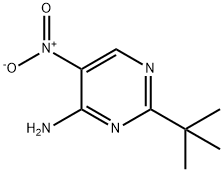 2-(tert-Butyl)-5-nitropyriMidin-4-aMine|