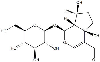 (1S)-1α-(β-D-グルコピラノシルオキシ)-1,4a,5,6,7,7aα-ヘキサヒドロ-4aα,7α-ジヒドロキシ-7-メチルシクロペンタ[c]ピラン-4-カルボアルデヒド