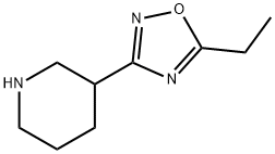 3-(5-Ethyl[1,2,4]oxadiazol-3-yl)piperidine 结构式