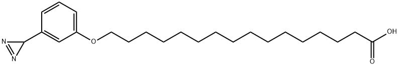 omega-(3-diazirinophenoxy)hexadecanoic acid Structure