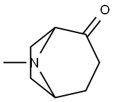 8-Methyl-8-Azabicyclo[3.2.1]octan-2-one Struktur